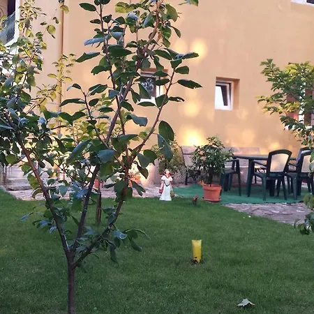 Jardin *
