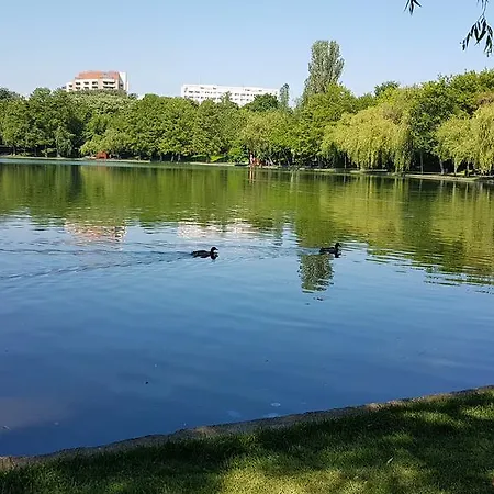 Apartment Jardin Bucharest