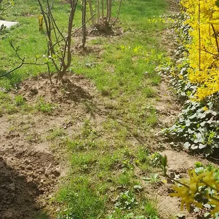 Jardin *