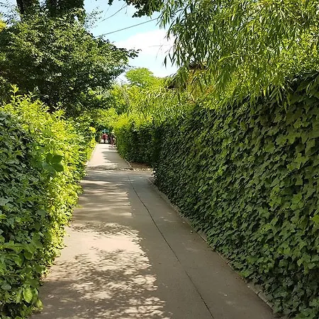 Jardin *